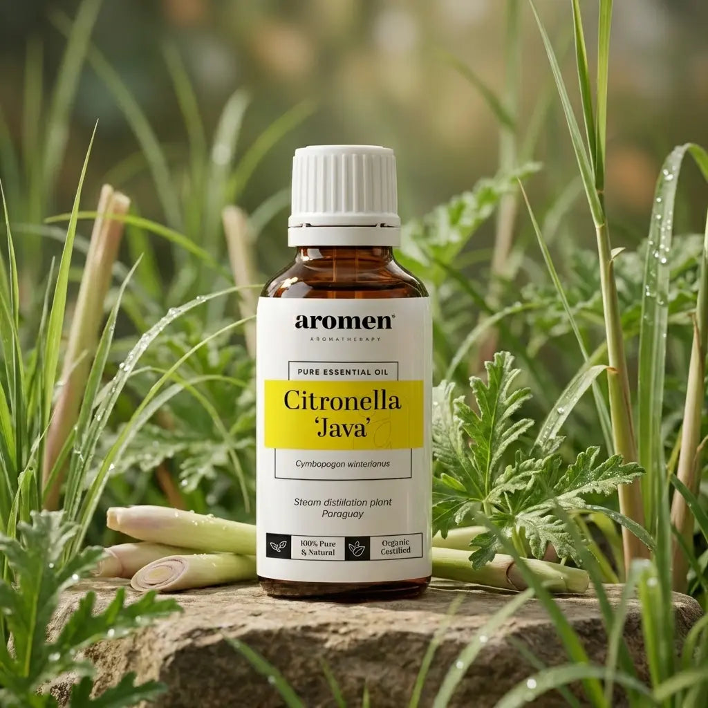 Aromen Citronella Java med illustrert citronellagress i bakgrunnen